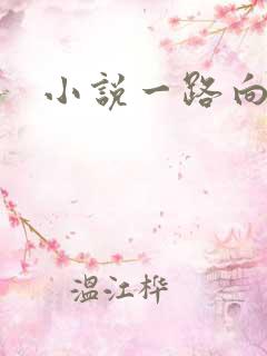 小说一路向西