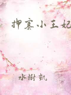 押寨小王妃