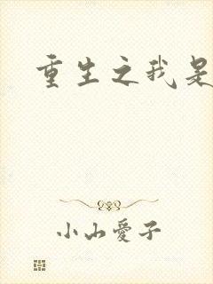 重生之我是段誉