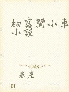 细写开小车车的小说