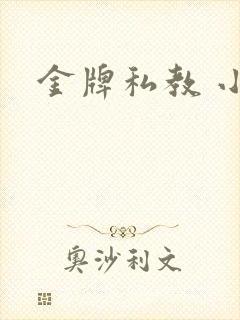 金牌私教 小说