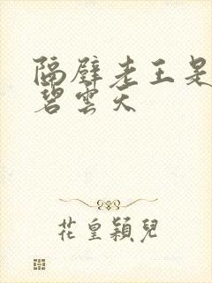 隔壁老王是皇帝碧云天