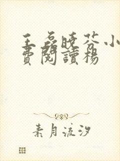 王磊晓芬小说免费阅读杨