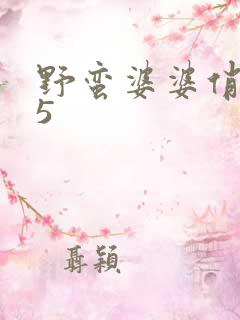 野蛮婆婆俏媳妇5