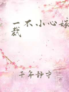 一不小心嫁给总裁