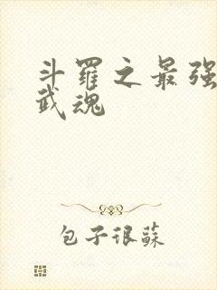 斗罗之最强治疗武魂