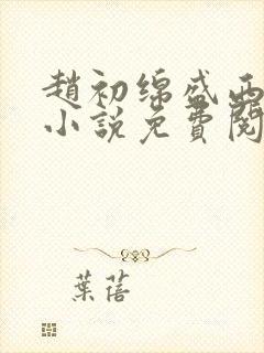 赵初绵盛西舫的小说免费阅读