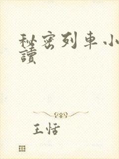 秘密列车小说阅读