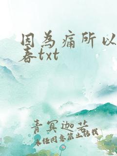 因为痛所以叫青春txt