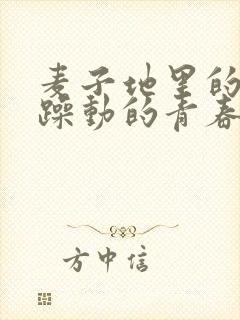 麦子地里的故事躁动的青春小说