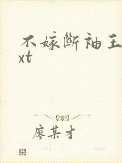 不嫁断袖王爷txt