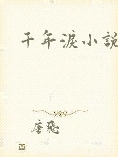 千年泪小说