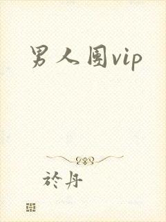 男人团vip