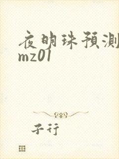 夜明珠预测 ymz01