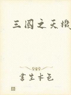 三国之天机军师