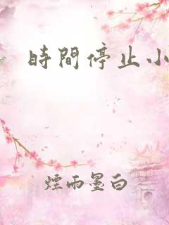 时间停止小说