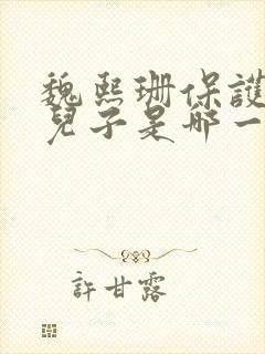 魏熙珊保护萧峥儿子是哪一集