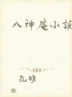 八神庵小说下载