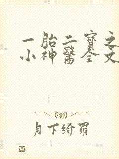 一胎二宝之弃妃小神医全文免费阅读