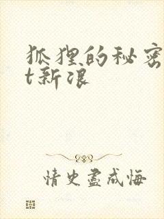 狐狸的秘密txt新浪