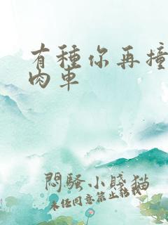 有种你再撞一下肉车