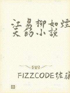 江易柳如烟秦少天的小说