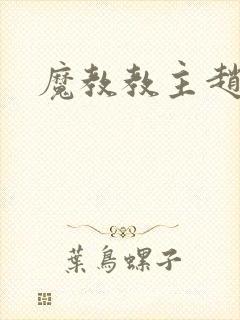 魔教教主赵小猫