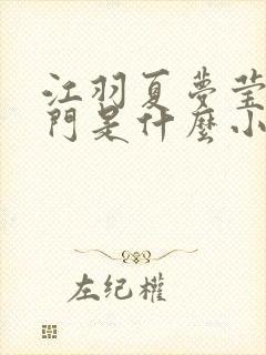 江羽夏梦莹神谕门是什么小说