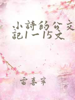 小诗的公交车日记1一15文