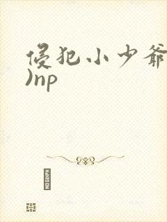 侵犯小少爷(H)np
