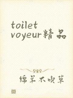 toilet voyeur精品