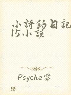 小诗的日记1一15小说