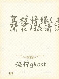 驾校情缘(老树开花)孙潇潇笔趣阁