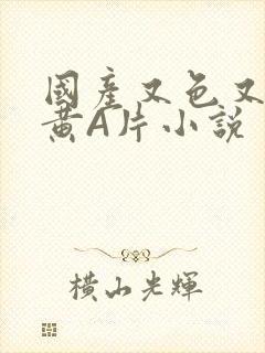 国产又色又爽又黄A片小说