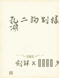 孔二狗别样的江湖