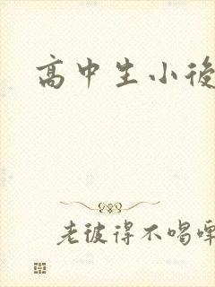 高中生小后妈