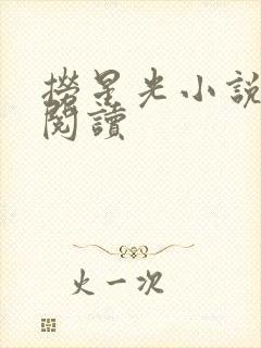 捞星光小说免费阅读