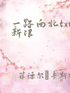 一路向北txt新浪