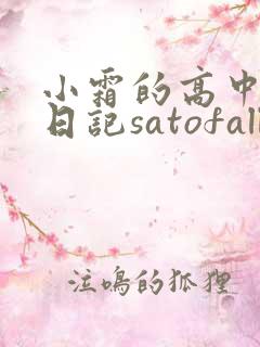 小霜的高中成长日记satofall