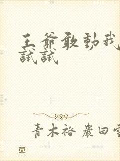 王爷敢动我妈咪试试