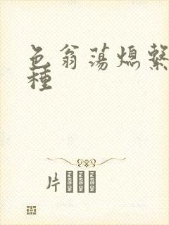 色翁荡熄系列借种