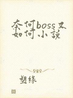 奈何boss又如何小说