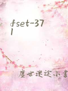 fset-371