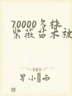 70000多株紫薇苗木被强毁