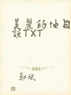 美丽的他日剧小说TXT