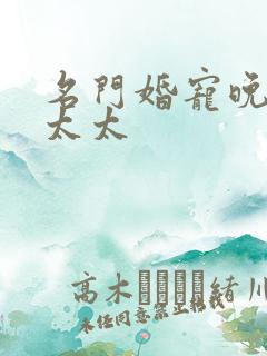 名门婚宠晚安赫太太