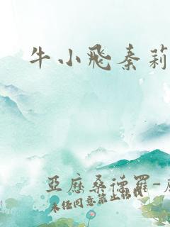 牛小飞秦莉莉