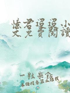 忆君迢迢小说全文免费阅读