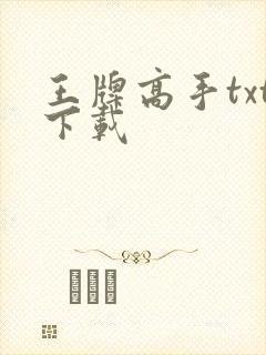 王牌高手txt下载