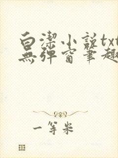 白洁小说txt无弹窗笔趣阁